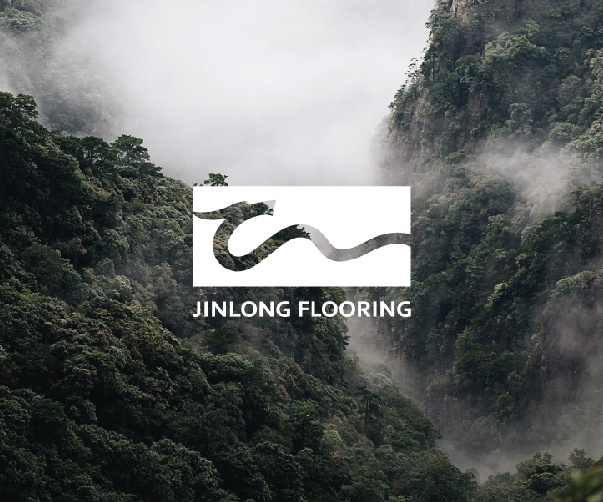 矢量與位圖圖像設計上海vi設計公司終極指南